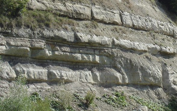 Lower Freshwater Molasse profile (Aquitanian age) in the Wallenried Quarry