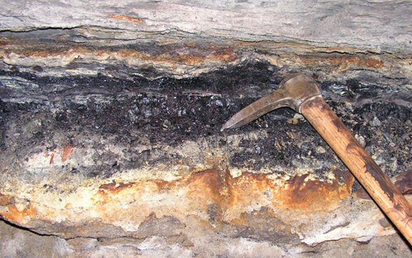 Veine de charbon dans la Molasse d'eau douce inférieure